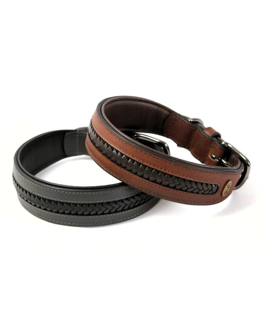 Halsband Kaya