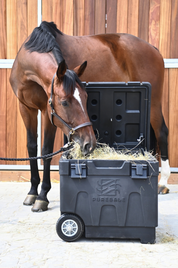 Heubedampfer PureBale PB 300